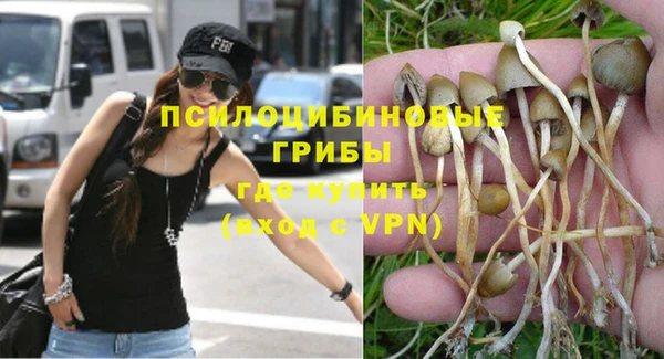 таблы Алексин