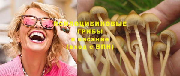 2c-b Алексеевка