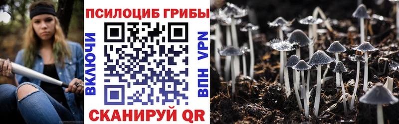 Псилоцибиновые грибы Psilocybine cubensis  продажа наркотиков  Салехард 